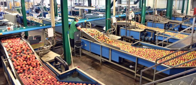 Pre-Packaged Produce: Sales On The Rise As The Pandemic Persists