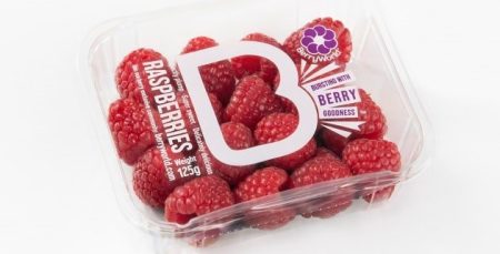 r-Pet Heat Sealed Berries
