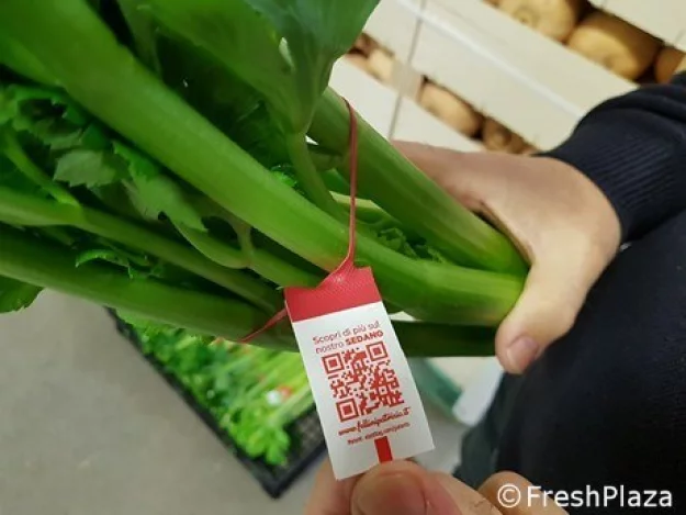 QR Codes might just be the Universal Language