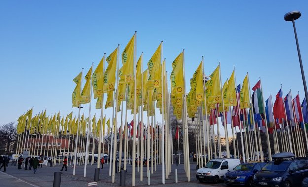 A Guiding Light: Fruit Logistica Overview