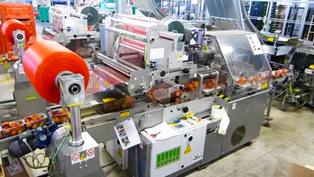 Labour and Automation