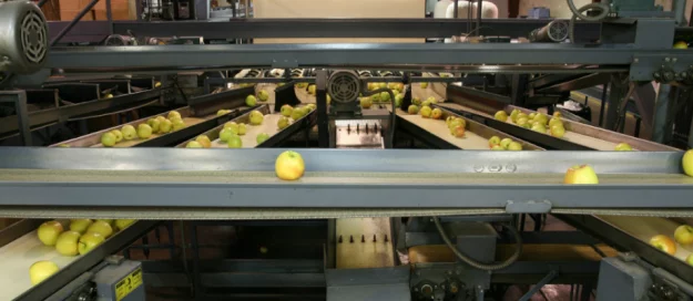 Industry 4.0: Making The Argument For Automated Machinery In The Packhouse