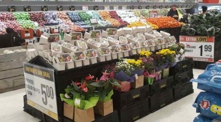 Seal The Deal: Tray & Heat Sealers Make Bringing Fresh Produce To Market, Easier