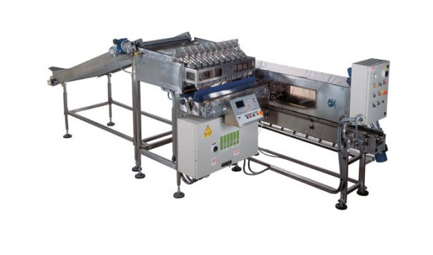 Electronic Weigher - CP810PC