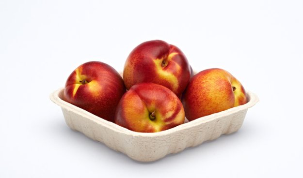Compostable Packaging