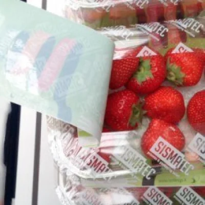 Compostable Film