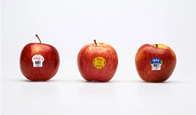 Branding