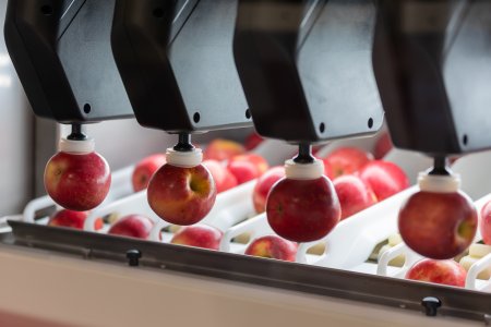 Aporo Produce Packer