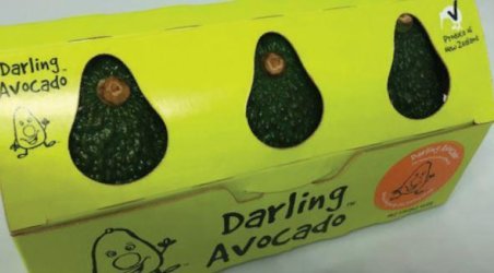 Darling Group