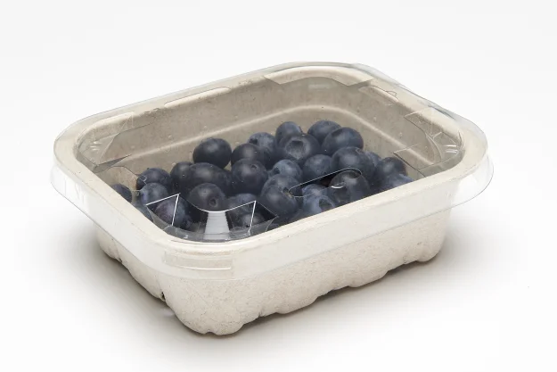 Recycled Packaging