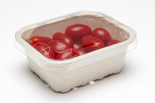 Fibre Trays and Punnets