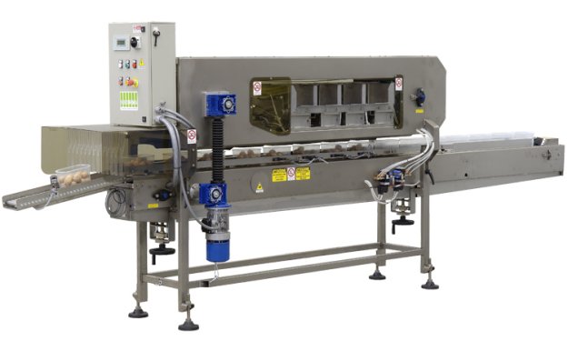 Punnet Filling Machines