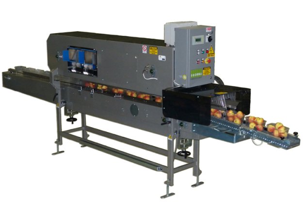 Punnet Filling Machines