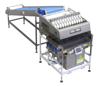 Electronic Weigher - W12-126A