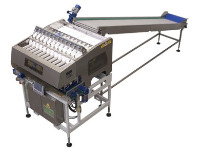 Electronic Weigher - W12-126