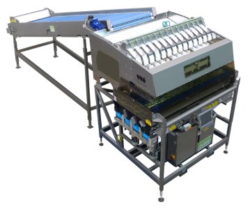 Electronic Weigher - W14-126A